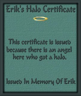 Erik's Halo Certificate